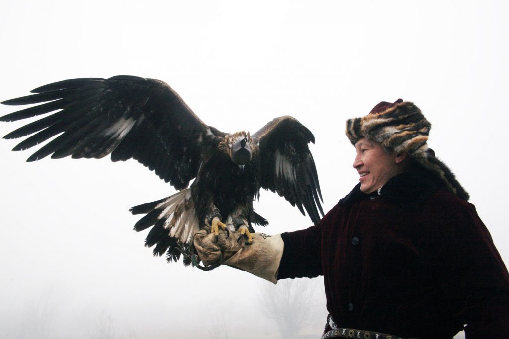 WhatsApp Image 2026-02-25 at 16.19.00